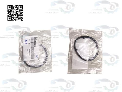 264132G000 جلدة مبرد زيت اصلي