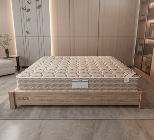 مرتبة ستاندرد