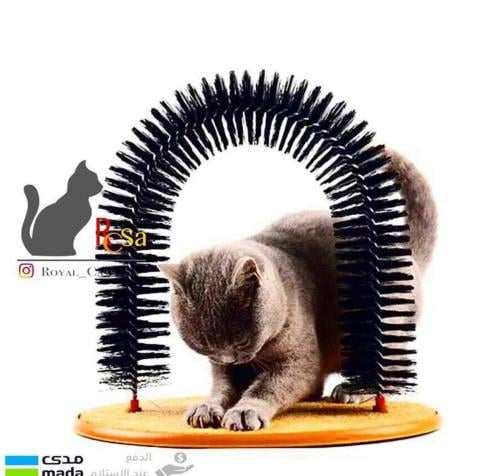 حكاكة وخداشة للقطط مع كاتنب