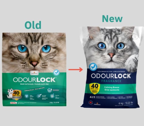 رمل انتر ساند عالي التكتل 6 kg