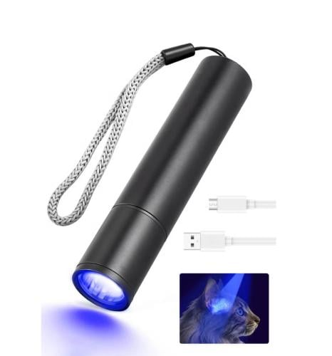 كشاف فطريات لقطط