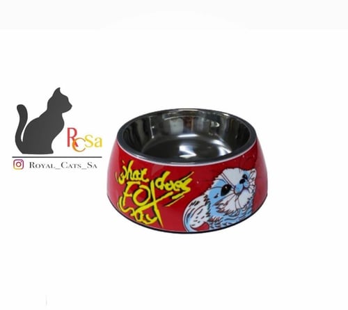 صحون السيراميك المميزة للقطط والكلاب