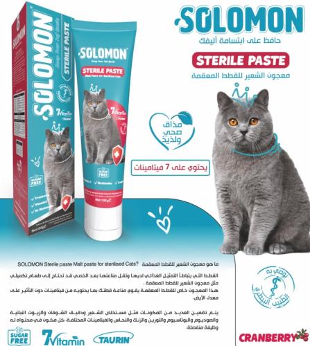 معجون سلمون لقطط المعقمه