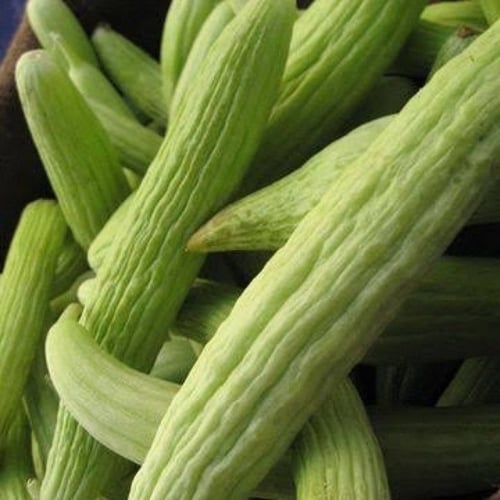بذور القثاء - الفقوس ( Cucumis melo flexuosus )