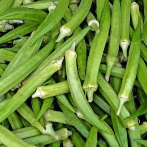 بذور نبات البامية ( Abelmoschus esculentus )