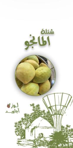 شتلة المانجو