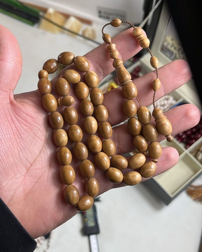 كوك بيضاوي