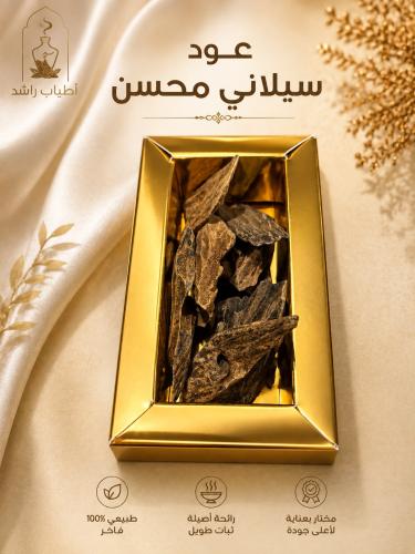 عود سيلاني محسن