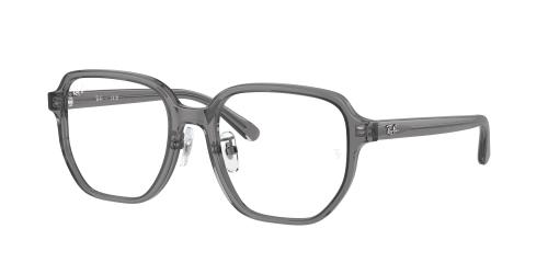 RX5424D 8268 Polished grey transparent 54-19