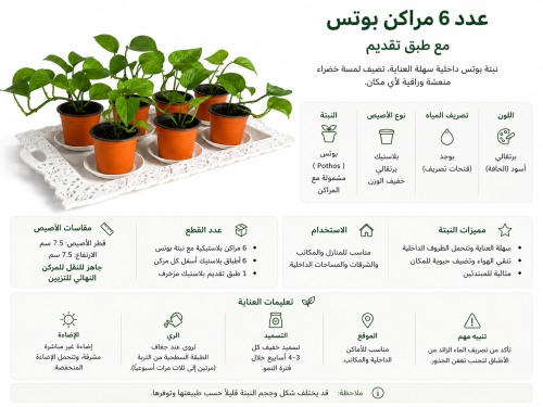 6 مراكن بلاستيك بها نبتة بوتس للنقل للمركن النهائي