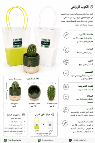 اليوم الوطني -كوب أخضر وبيج مع نبتة صبار
