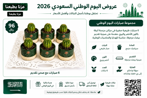عرض اليوم الوطني 4 - 6 نبات صبار