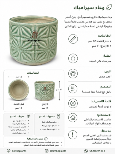 وعاد زرع سيراميك اخضر بنقشة هندسية بارزة داخلي بدو...
