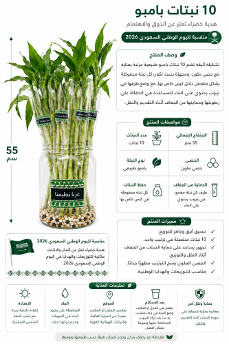 عرض اليوم اليوم الوطني 3 - 10 بامبو