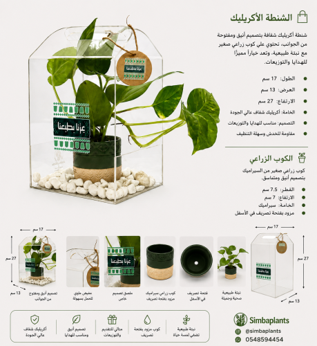 اليوم الوطني -مركن سيراميك بيج ومزخرف بخطو خضراء م...