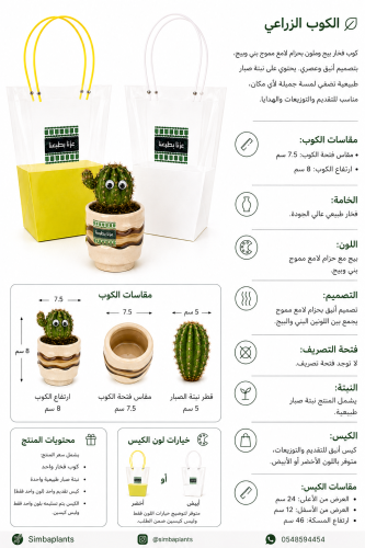 اليوم الوطني -كوب بيج وحزام لامع بني وبيج مع نبت ص...