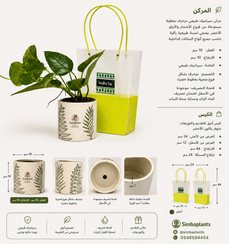 اليوم الوطني -مركن سيراميك بيج ومزخرف بخطو خضراء م...