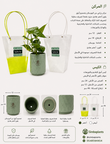 اليوم الوطني -كوب أخضر كبير