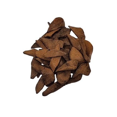 عود مروكي نخبة أوقية