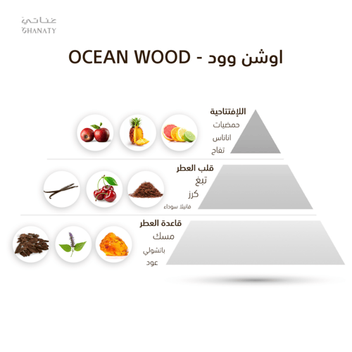 اوشن وود - OCEAN WOOD