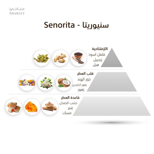 سينيورتا-SENORITA