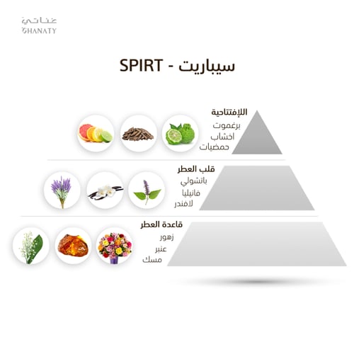 سبريت - SPIRIT