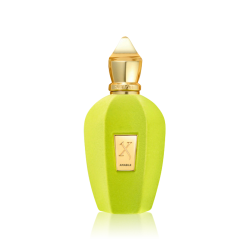 زيرجوف أمابيل – أو دو برفيوم 100 مل - Xerjoff Amab...