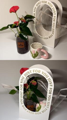 انتوريوم+كوب+سله