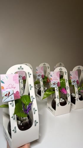 6حبات توزيعات بوتس+سله+كرت+شوكلت+فراشه