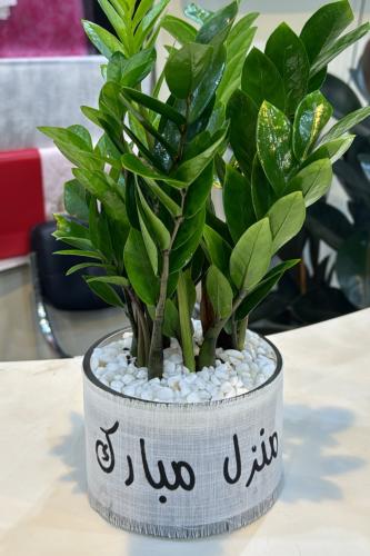 شرائط قماش بعباره لون ابيض