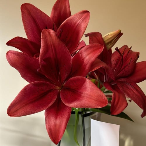 4سيقان ليليوم بالماء+فازه