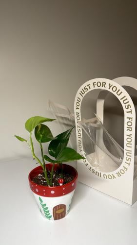بوتس+سله +فخار رسم فطر