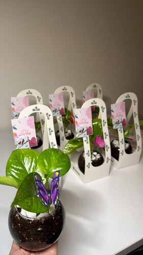 6حبات توزيعات بوتس+سله+كرت+شوكلت+فراشه