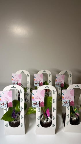 6حبات توزيعات بوتس+سله+كرت+شوكلت+فراشه