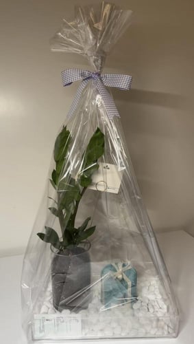 زاميا+شوكلت+صينيه