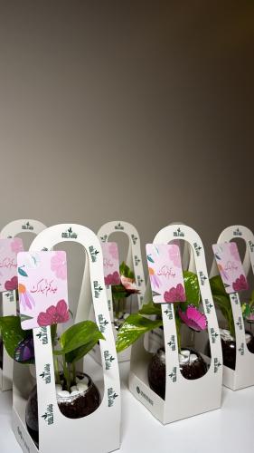 6حبات توزيعات بوتس+سله+فراشه+كرت