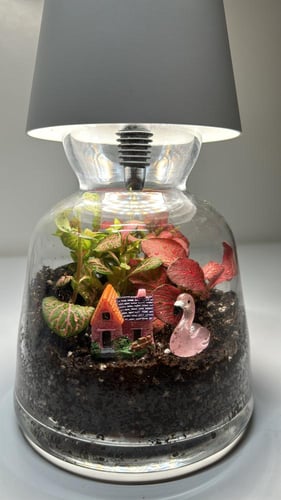 غابه الاباجورة حديقه زجاجيه