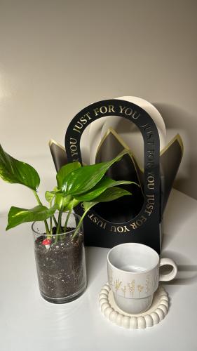 بوتس+كوب+قاعده كوب+سله