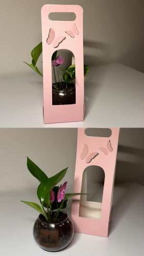 بوتس+فازه بيضاوي