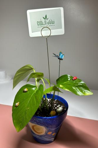 بوتس فخار رسم يدوي