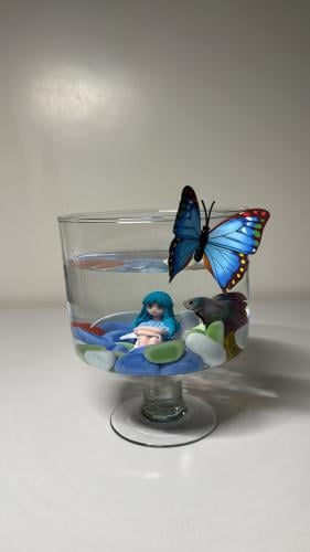 حوض زجاج+سمك فايتر+حجر