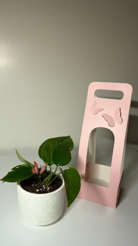 بوتس+فازه سراميك