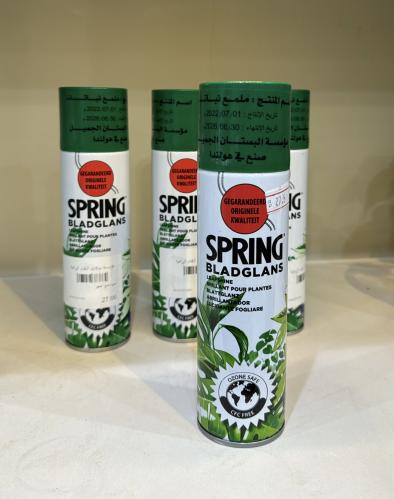 ملمع لنباتات الداخلية