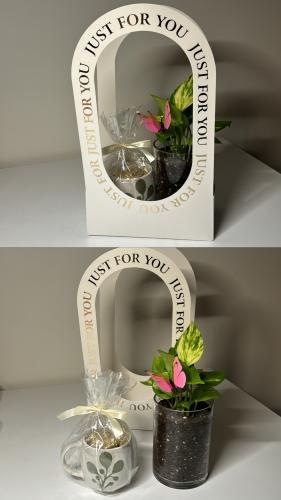 بوتس+سله+كوب مع شوكلت