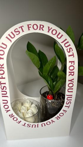 زاميا+شمعه توليب كبيره+سله