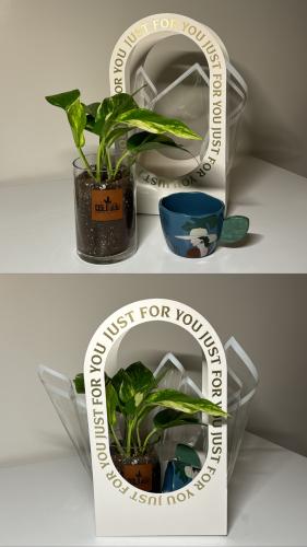 بوتس+كوب+سله