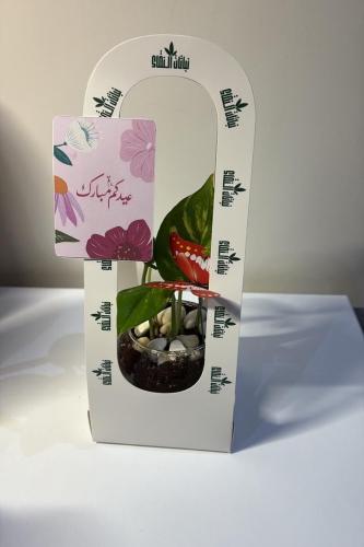 بوتس+سله+كرت