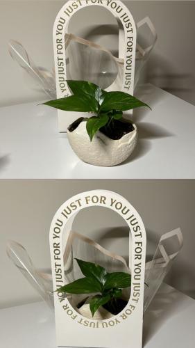 بوتس+ فازه + سله