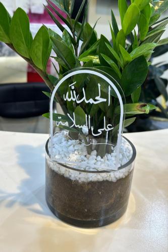 تغريسه الحمدلله على السلامه