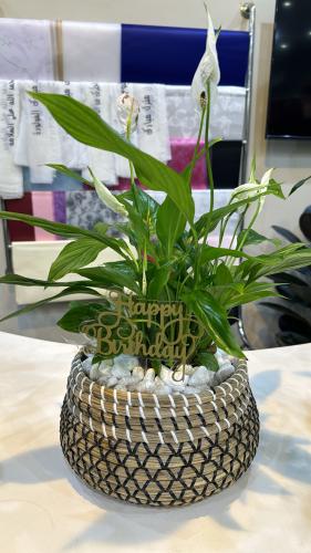 تغريسه happy birthday